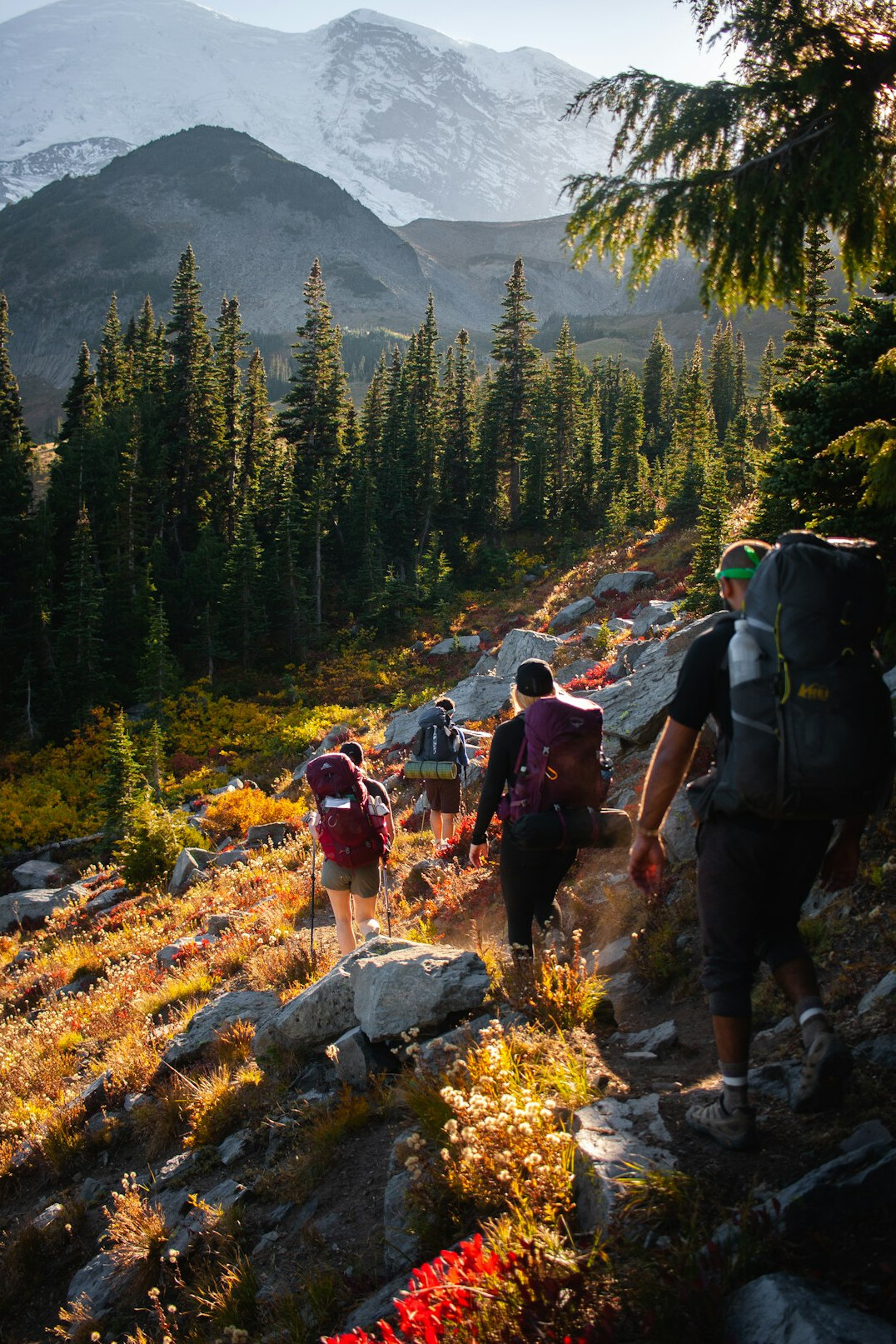 Active seniors hiking together in nature