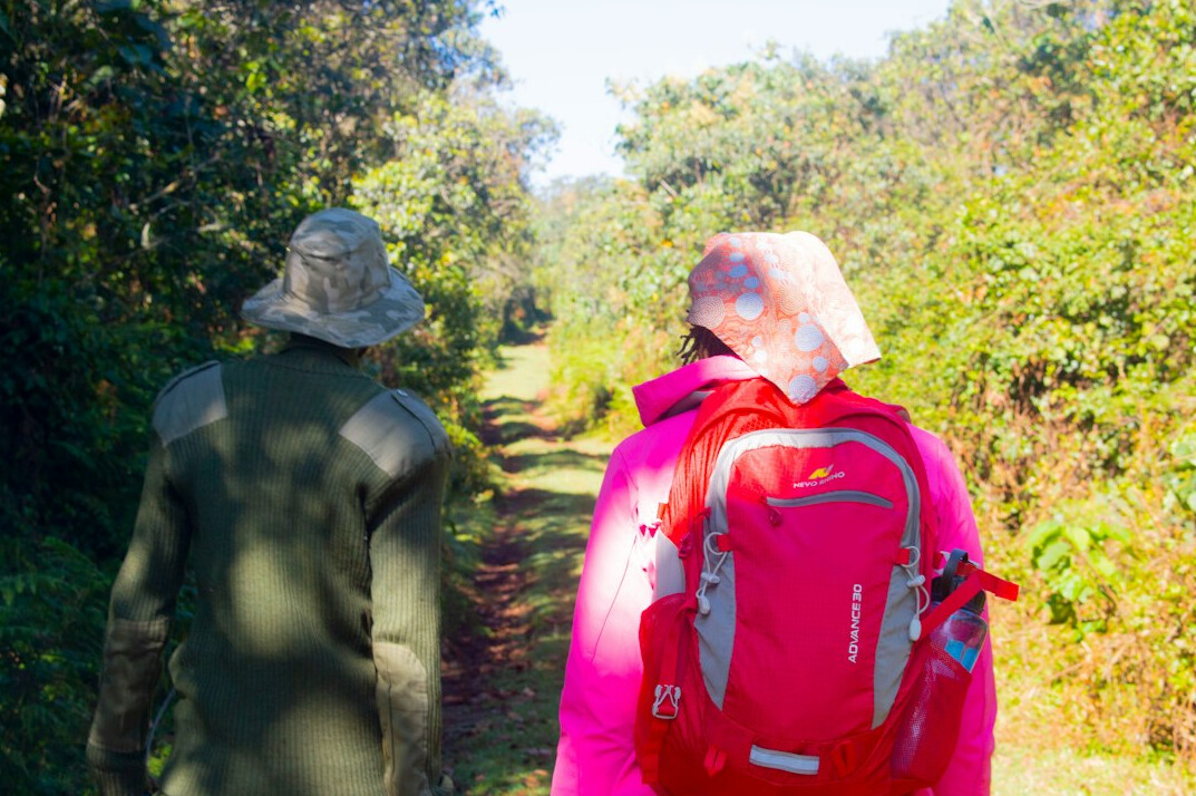 elderly couple hiking