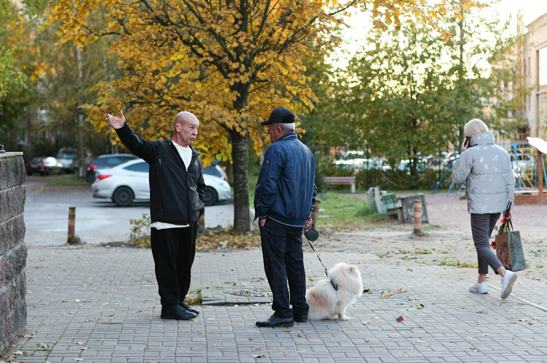 elderly people doing tai chi