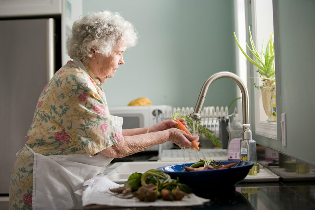healthy senior meal preparation